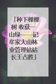种下棵棵树 收获一山绿——记牟家大山林业管理站站长王占胜