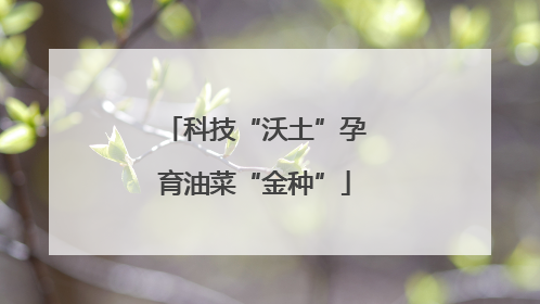 科技“沃土”孕育油菜“金种”