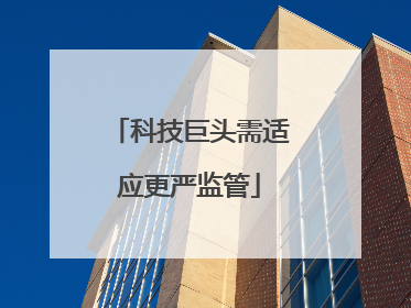 科技巨头需适应更严监管