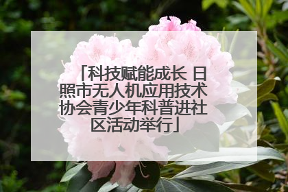 科技赋能成长 日照市无人机应用技术协会青少年科普进社区活动举行