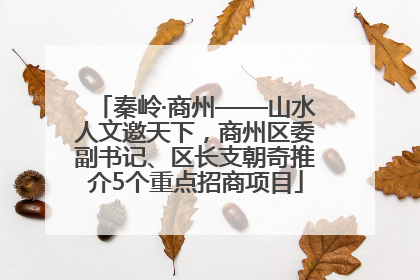秦岭·商州——山水人文邀天下，商州区委副书记、区长支朝奇推介5个重点招商项目