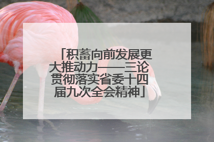 积蓄向前发展更大推动力——三论贯彻落实省委十四届九次全会精神