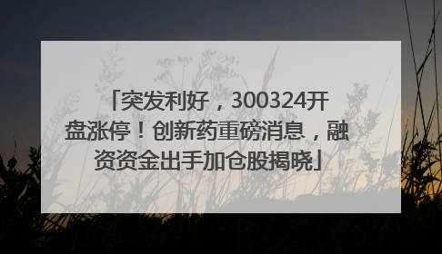 突发利好，300324开盘涨停！创新药重磅消息，融资资金出手加仓股揭晓