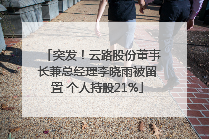 突发！云路股份董事长兼总经理李晓雨被留置 个人持股21%