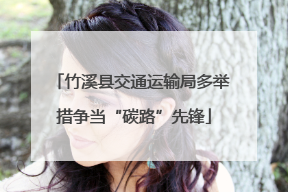 竹溪县交通运输局多举措争当“碳路”先锋