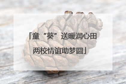 童“葵”送暖润心田 两校情谊助梦圆