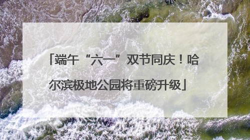端午“六一”双节同庆！哈尔滨极地公园将重磅升级
