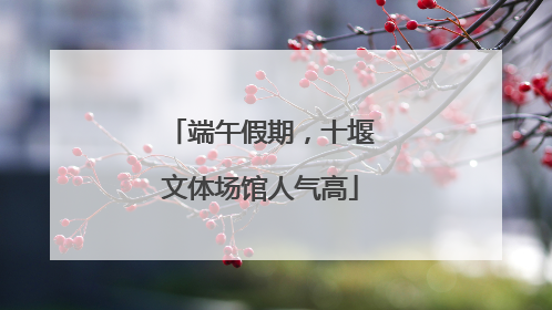 端午假期，十堰文体场馆人气高