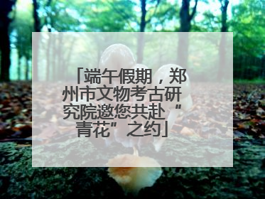端午假期，郑州市文物考古研究院邀您共赴“青花”之约