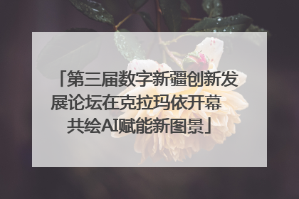 第三届数字新疆创新发展论坛在克拉玛依开幕 共绘AI赋能新图景