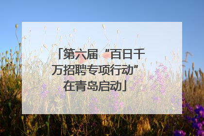 第六届“百日千万招聘专项行动”在青岛启动