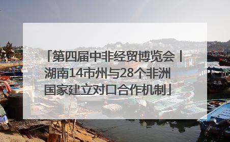 第四届中非经贸博览会丨湖南14市州与28个非洲国家建立对口合作机制