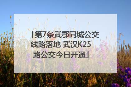 第7条武鄂同城公交线路落地 武汉K25路公交今日开通