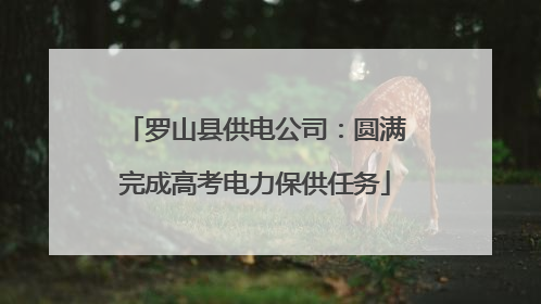 罗山县供电公司：圆满完成高考电力保供任务