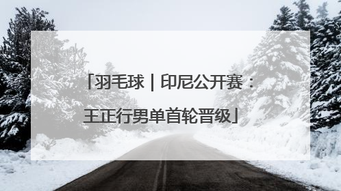 羽毛球｜印尼公开赛：王正行男单首轮晋级