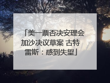 美一票否决安理会加沙决议草案 古特雷斯：感到失望
