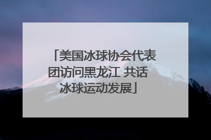 美国冰球协会代表团访问黑龙江 共话冰球运动发展