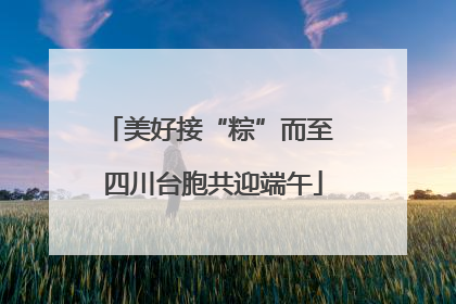 美好接“粽”而至 四川台胞共迎端午