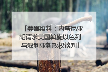 美媒爆料：内塔尼亚胡请求美国斡旋以色列与叙利亚新政权谈判