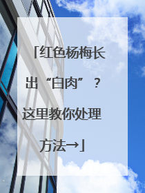 红色杨梅长出“白肉”？这里教你处理方法→