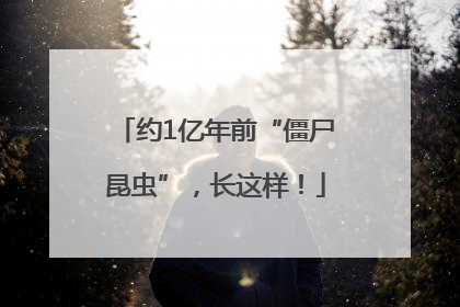 约1亿年前“僵尸昆虫”，长这样！