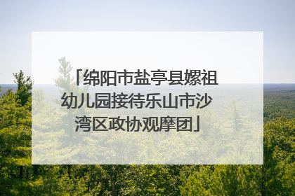 绵阳市盐亭县嫘祖幼儿园接待乐山市沙湾区政协观摩团