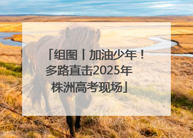 组图丨加油少年！多路直击2025年株洲高考现场