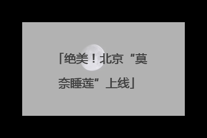 绝美！北京“莫奈睡莲”上线