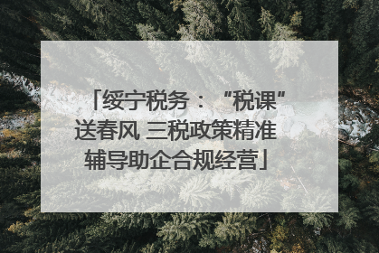 绥宁税务：“税课”送春风 三税政策精准辅导助企合规经营