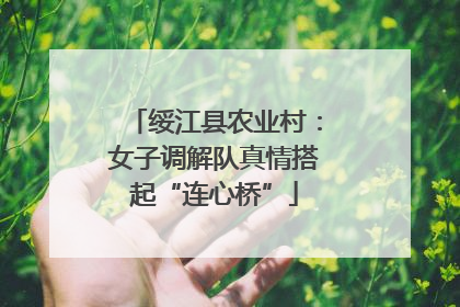 绥江县农业村：女子调解队真情搭起“连心桥”