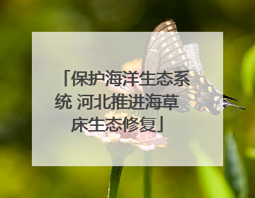 保护海洋生态系统 河北推进海草床生态修复