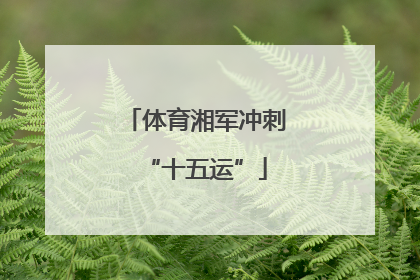体育湘军冲刺“十五运”