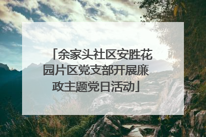 余家头社区安胜花园片区党支部开展廉政主题党日活动