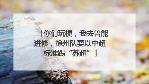 你们玩梗，我去鲁能进修，徐州队要以中超标准踢“苏超”