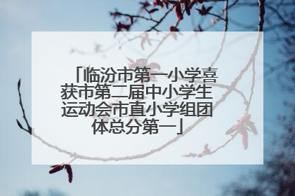 临汾市第一小学喜获市第二届中小学生运动会市直小学组团体总分第一