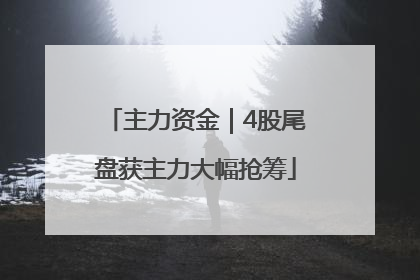 主力资金｜4股尾盘获主力大幅抢筹