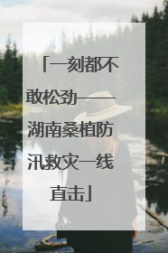 一刻都不敢松劲——湖南桑植防汛救灾一线直击