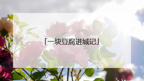 一块豆腐进城记