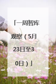 一周智库观察（5月23日至30日）