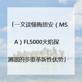 一文读懂梅思安（MSA）FL5000火焰探测器的多重革新性优势