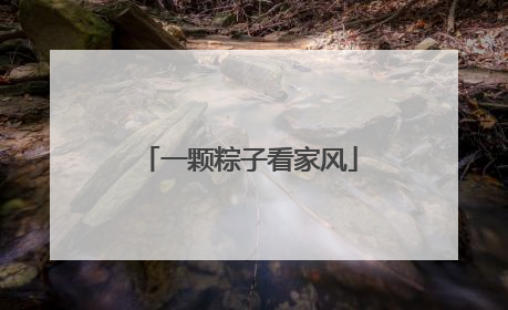 一颗粽子看家风