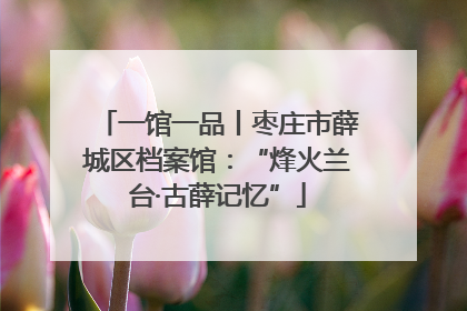 一馆一品丨枣庄市薛城区档案馆：“烽火兰台·古薛记忆”