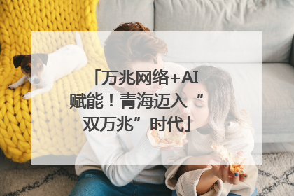 万兆网络+AI赋能！青海迈入“双万兆”时代