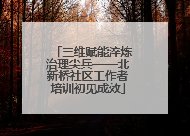 三维赋能淬炼治理尖兵——北新桥社区工作者培训初见成效