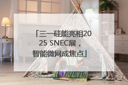 三一硅能亮相2025 SNEC展，智能微网成焦点
