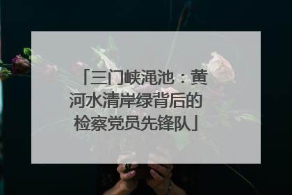 三门峡渑池：黄河水清岸绿背后的检察党员先锋队