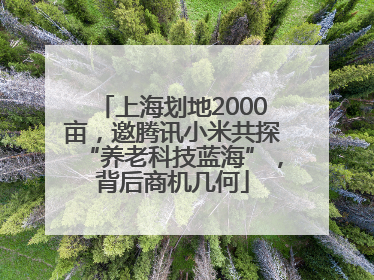 上海划地2000亩，邀腾讯小米共探“养老科技蓝海”，背后商机几何