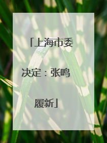 上海市委决定：张鸣履新