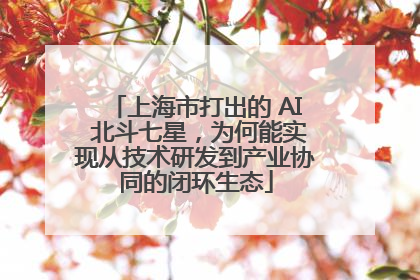 上海市打出的 AI 北斗七星，为何能实现从技术研发到产业协同的闭环生态