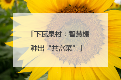 下瓦泉村：智慧棚种出“共富菜”